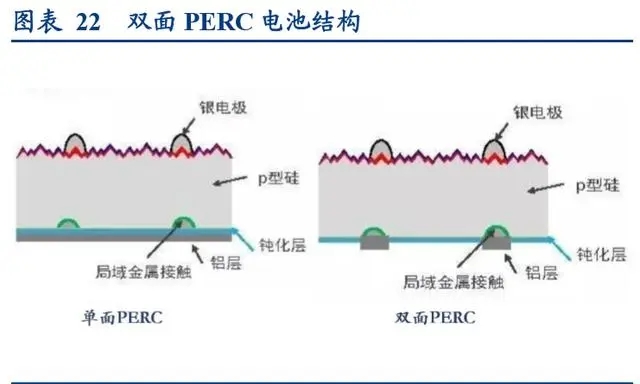 5.webp.jpg 5.webp.jpg